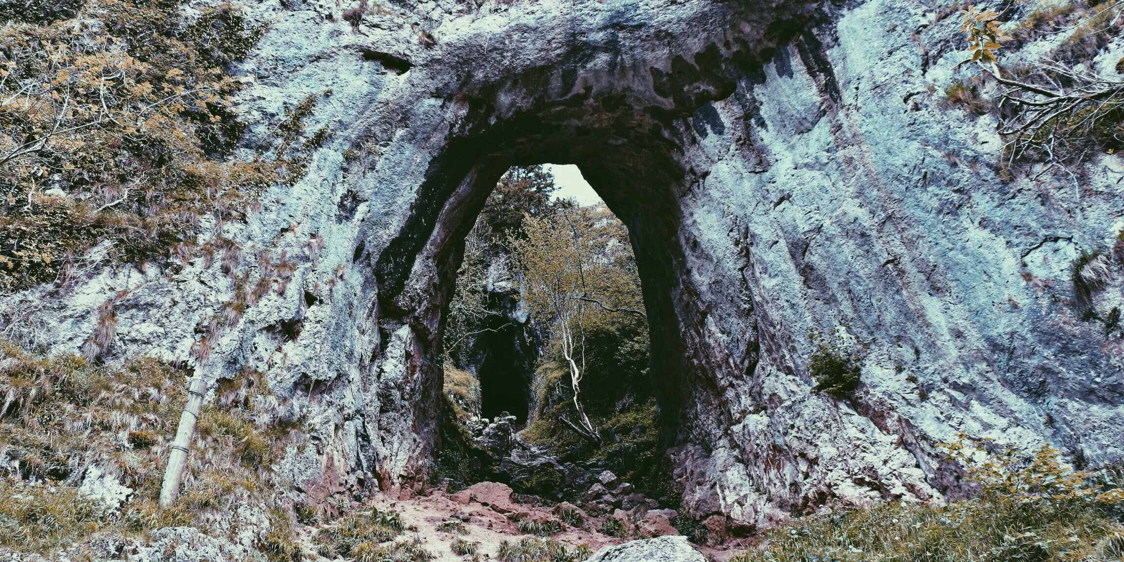 nature-mountain-path-tunnel (2)